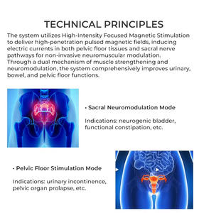 Solution professionnelle de remodelage corporel et de soin musculaire : Soulagez l'inconfort quotidien et restaurez la fermeté – Expérience confortable avec <span class=keywords><strong>Electroma</strong></span> - Product Image 4