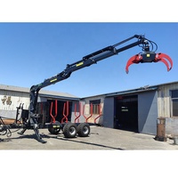 Gru idraulica per legname DIBO con portata di 6,5 m, omologata CE TUV, per macchine agricole, montata su rimorchio per legname con capacità di carico di 10 tonnellate.