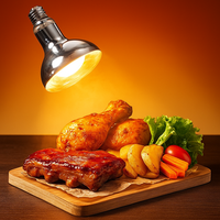 Ampoule chauffante infrarouge 375W R125 R40 Lumière chauffante pour réchauffeur de buffet, café, cuisine de café