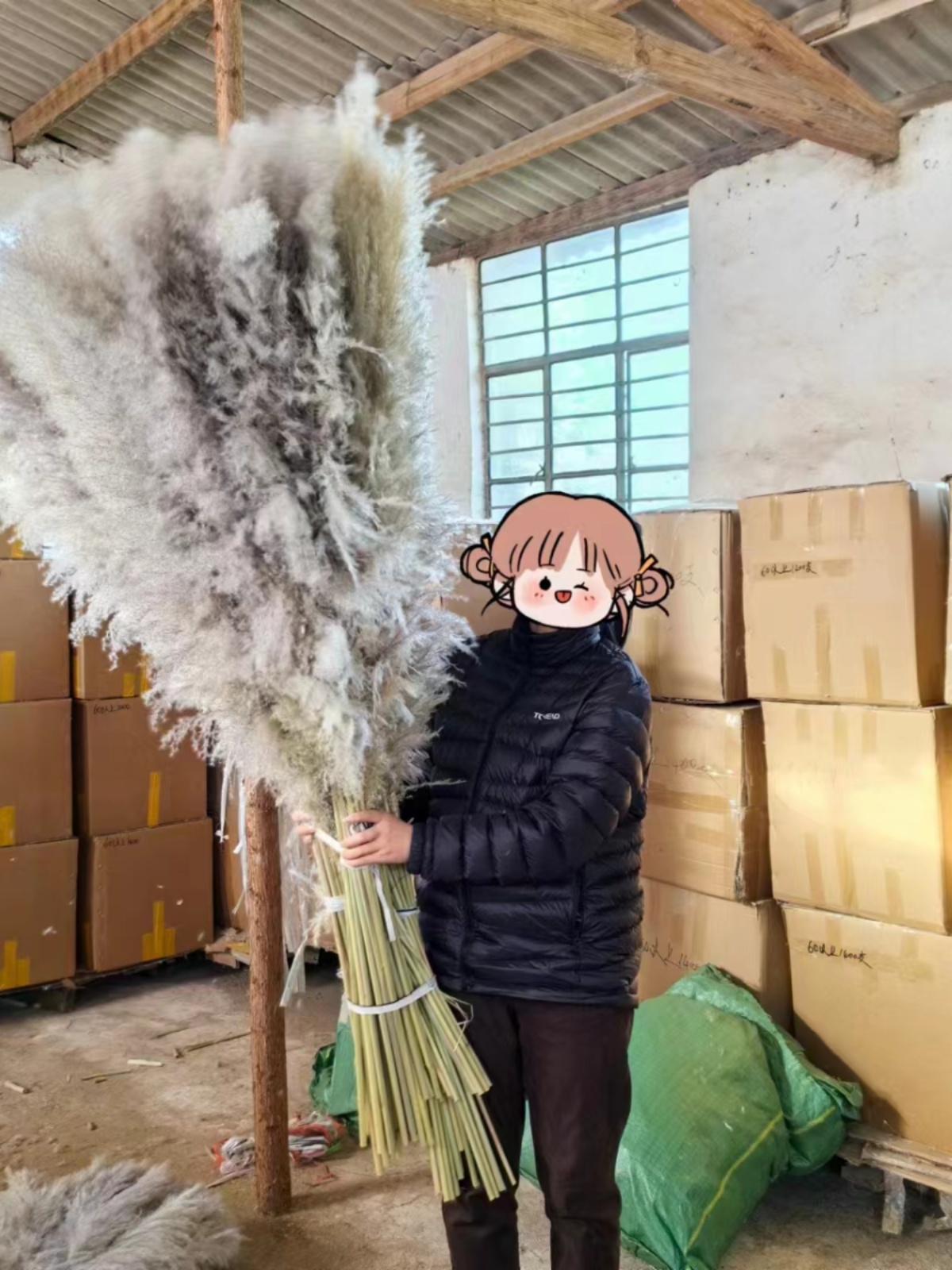 Vietnam lana suave gris Reed 1 metro