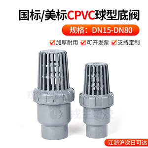 Clapet anti-retour en CPVC Rong Sheng, type panier, pour décharge de scories, à flux unidirectionnel, pour tuyaux d'eau en plastique, température normale - Product Image 4