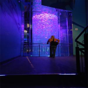 Hot Selling Big Enorme Clear Ronde Acryl <span class=keywords><strong>Aquarium</strong></span> Acryl <span class=keywords><strong>Aquarium</strong></span> <span class=keywords><strong>Aquarium</strong></span> Prijs - Product Image 5