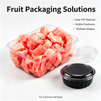 Groothandel Transparante 1mm Dikke PET Plastic Fruitverpakking Serie Wegwerp Rechthoekige Voedselbox voor Vers Product Presentatie