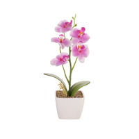 Petite orchidée Phalaenopsis artificielle en pot pour la décoration de la maison et du bureau, orchidée en pot unique, bonsaï, fleurs artificielles