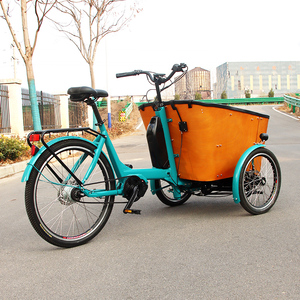 Entrepôt néerlandais de l'UE <span class=keywords><strong>Transport</strong></span> spécial E Trike Cargo Bike Trolley Cargo 3 Wheel Family Cargo Vélo électrique à trois roues - Product Image 3