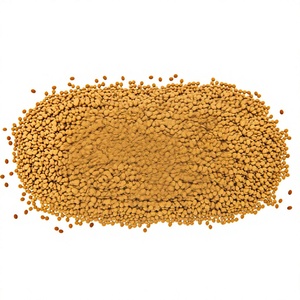 Graines de Fenugrec Premium : Matière Première Naturelle Trigonella Foenum Graecum – Ingrédient Botanique - Product Image 1