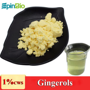 Poudre d'extrait de gingembre EpinBio de haute qualité 100 % naturelle de qualité alimentaire, 20 % de gingérols, 100 % passant le tamis 80 mesh, emballage sous vide en fût - Product Image 3