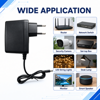 Adaptateur d'alimentation à découpage mural AC/DC 12V 2A 24W fiable (CE FCC RoHS EMC) pour caméra de sécurité CCTV et bande LED