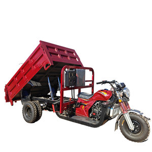 Motocicleta de Carga Motorizada de Tres Ruedas con Carrocería Abierta, Motor de Gasolina de 250cc, <span class=keywords><strong>Doble</strong></span> Rueda Trasera, en Oferta - Product Image 1