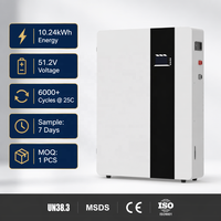 Batterie solaire LiFePO4 murale résidentielle 51,2 V 100 Ah/200 Ah, alimentation de secours hybride pour système de stockage d'énergie hors réseau