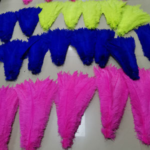 <span class=keywords><strong>Samber</strong></span> Carnival 18-20 pulgadas blanqueado teñido Nandu pluma recortada plumas de avestruz barato Caribe carnaval accesorios graduación - Product Image 3