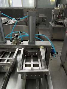 בית הגבינה האיכותי הוא פתרון מושלם למגוון גבינות, מוצרלה, צ 'דר לשימוש ביתי והחווה. - Product Image 5