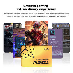 PUSKILL Vente en gros SSD Sata 3 120 Go 128 Go 240 Go 256 Go 480 Go 512 Go 1 To Disques durs à semi-conducteurs - Product Image 6