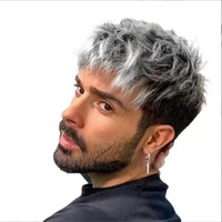 Perruque Homme Tendance Européenne et Américaine, Courte, Couleurs Mixtes, Style Texturé, Volumineuse, Cheveux Raides, Élégante, Moelleuse, en Fibre Synthétique