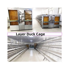 Cage <span class=keywords><strong>de</strong></span> <span class=keywords><strong>canard</strong></span> éleveur automatique <span class=keywords><strong>de</strong></span> ferme cage <span class=keywords><strong>de</strong></span> <span class=keywords><strong>canard</strong></span> à oeufs pour <span class=keywords><strong>canard</strong></span> pondeuse - Product Image 2