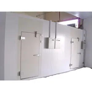 Customizedrefrigeration Freezer Mobile Container with Pu Panels Food Vegetables Storage Cold Room for Ice Cream Provided 3 Years