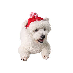 Direktverkauf vom Hersteller: Umweltfreundliche Rote Tiermuster-Wollmütze mit Ohrlöchern für Hunde, Katzen, Kätzchen und Welpen - Einheitsgröße Haustier-Bekleidung - Product Image 1