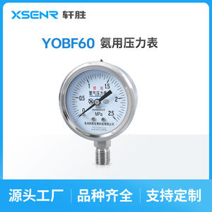 Manómetro de Oxígeno Suzhou Xuan Sheng 2.5Mpa de Acero Inoxidable con Conexión Roscada Analógica para Gas de Alta Pureza - Product Image 5