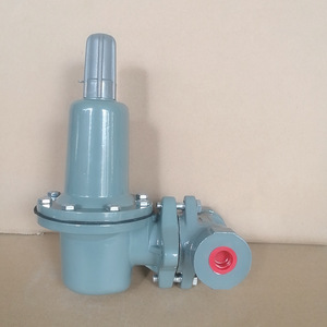 Válvulas Reductoras de Presión de Gas Natural y Gas Licuado de Petróleo de Presión Media DN15 Suministradas por el Fabricante, Válvulas para Tuberías de Gas 627 - Product Image 4