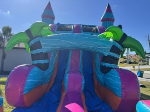 Großhandel Commercial Pvc Bouncy Bounce House Bluey aufblasbare Türsteher Combo White Jumping Castle mit Rutsche für Kinder - Product Image 4