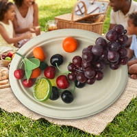 Assiettes ovales jetables et compostables en bagasse de canne à sucre (lot de 8) pour fêtes et déjeuners
