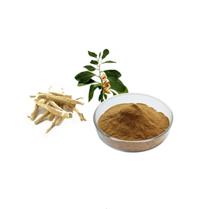 <span class=keywords><strong>Ashwagandha</strong></span> Ayurvedic chiết xuất/withania somnifera/Mùa Đông hoa anh đào - Product Image 1