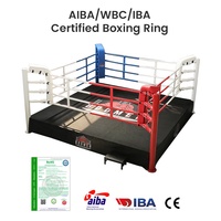 Ring de boxe surélevé personnalisé, structure en acier robuste, escalier portable pour salle de sport, MMA, Sanda, lutte, arène d'entraînement