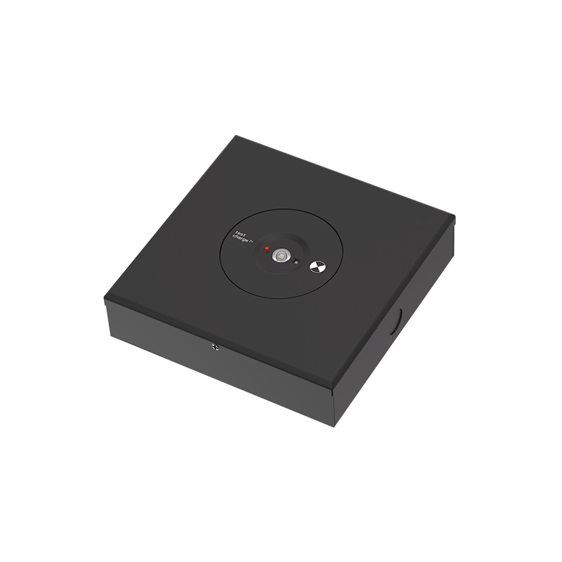 OEM/ODM Available - Indoor Emergency LED Spotlight for Ceiling - Manual Test - Non-Maintained - AS2293 D63/D80 - 3h Runtime