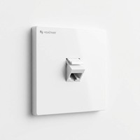 Plaque murale réseau inclinée de type 86 à 1 port avec obturateur à ressort pour connecteur Keystone, blanche, Chine
