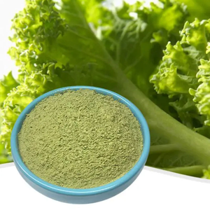 Nhà máy bán trực tiếp giá số lượng lớn hữu cơ tự nhiên cải xoăn bột cải xoăn - Product Image 5