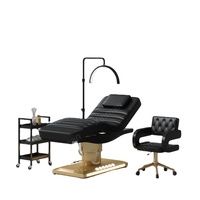 Meubles de salon haut de gamme modernes avec cadre pliable en acier inoxydable, lit de beauté électrique simple pour salon