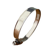 Collier de serrage à vis sans fin de type américain 8 mm en acier inoxydable 304 perforé pour tuyau de petit diamètre automobile
