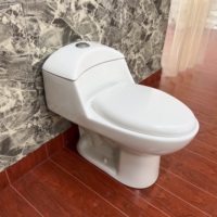 Ensemble WC monobloc en céramique à double chasse, à sortie verticale, design contemporain, pour usage domestique - Vente en gros