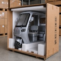 Triciclo Eléctrico de 3 Ruedas Directo de Fábrica en China, Doble Asiento, Faro LED, 1000W, Motor sin Escobillas, para Personas Mayores y Familias