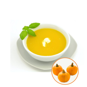 Richtek Ltd PulpJuica высокого качества чистый тыквенный сок порошок ароматизаторы оптом по оптовой цене - Product Image 1