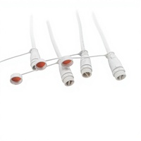 Connecteur étanche M16 à 2 broches en laiton, mâle/femelle, avec câble blanc de 15 cm, 500 V, 2x1,0 mm, IP68 pour éclairage LED