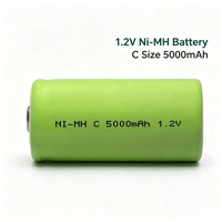 Batterie rechargeable Ni-MH 1,2 V format C 5000 mAh haute capacité faible auto-décharge pour jouets, appareils électroménagers, vente en gros, OEM