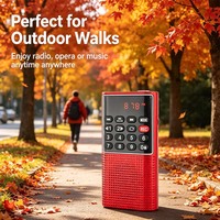 LCJ L-328 Radio portable mini, lecteur de Coran, enregistreur vocal, radio FM rechargeable, écran LCD, haut-parleur intégré, sortie 100-300W