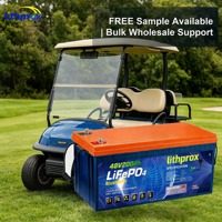 Batterie Lithium LiFePO4 48V 200AH 10KW à décharge profonde, Grade A, pour voiturette de golf, avec BMS intelligent CAN Bus, borne M8, 6K cycles, CE RoHS IP67, OEM ODM