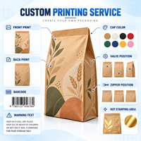 Sachet personnalisé en papier kraft sans fenêtre pour céréales et chips, scellé sur huit côtés, avec marquage à chaud, pour la vente au détail et en gros