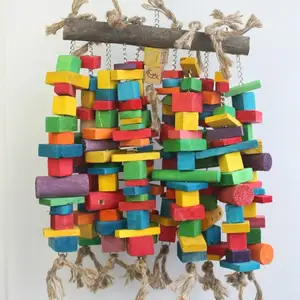 非洲灰鹦鹉鸟挂木制玩具