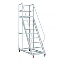 Échelle mobile silencieuse à roulettes, plateforme d'accès en hauteur avec étagère amovible pour la picking en entrepôt