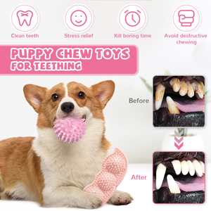 Hot Sale Eco Friendly Cute Chew Toys Durable Pet Toy Teething Chew Toys Pet Supplies - Product Image 4