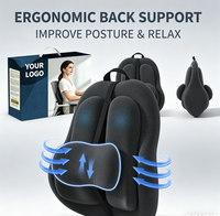 Coussin de soutien lombaire pour chaise de bureau et siège de voiture - Mousse à mémoire de forme avec sangle réglable et respirant - Vente flash