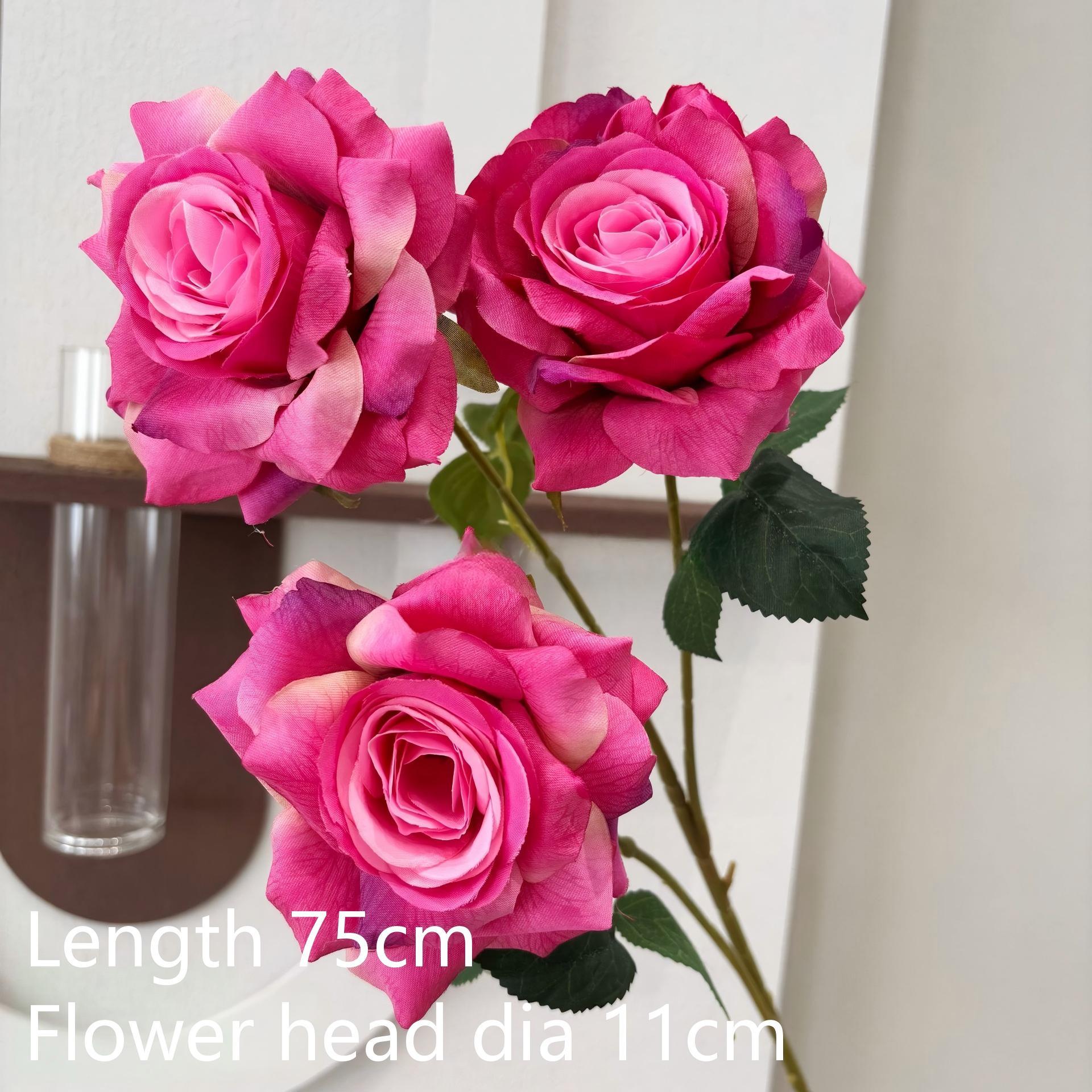 #16 Rose a 3 Teste