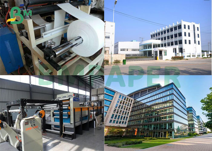Matte Coated C2S Glossy Paper 80G 90G 100G 115G Size 635mm X 900mm