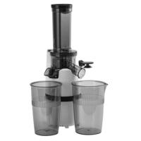 Hot Selling Goedkope Custom Machine Elektrische Mini Fruit Slow Juicer Prijs