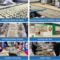 Machine automatique personnalisable pour la fabrication de dumplings et d'empanadas, grande ligne de production d'empanadas avec support moteur central