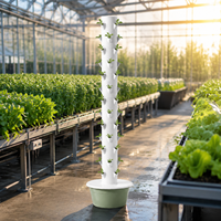 Système de culture hydroponique en tour à 13 étages pour l'intérieur, irrigation automatique pour la culture de la laitue, des épinards et des herbes aromatiques à la maison dans le jardin