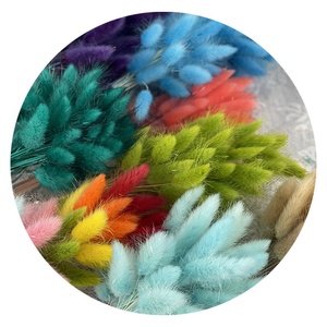 Suministro Directo de Fábrica, Flores Secas, Flores para Joyería, Hierba de Phalaris, para Decoración del Hogar y Bodas - Product Image 5